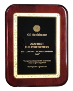 GE Healthcare Award - 2020 Best EHS Peformers
